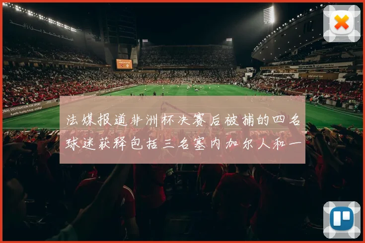 法媒报道非洲杯决赛后被捕的四名球迷获释包括三名塞内加尔人和一名法国人