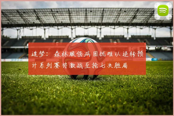 追梦：森林狼伤病困扰难以逆转预计系列赛将激战至抢七决胜局