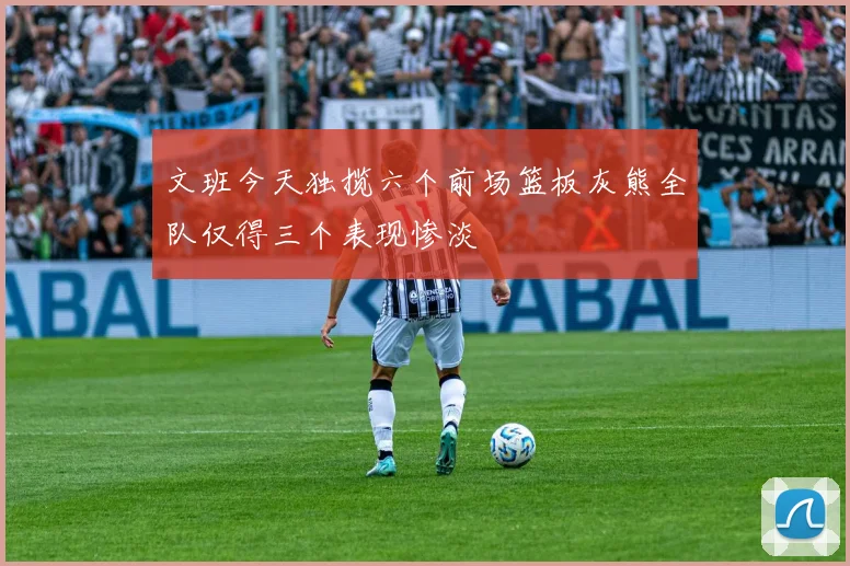 文班今天独揽六个前场篮板灰熊全队仅得三个表现惨淡